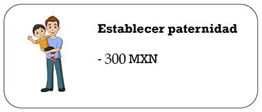 Establecer paternidad